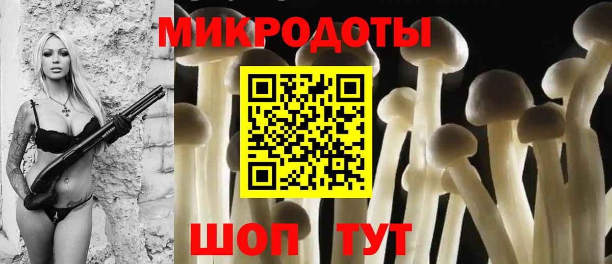 Галлюциногенные грибы Psilocybine cubensis  Вход с VPN  Коркино 