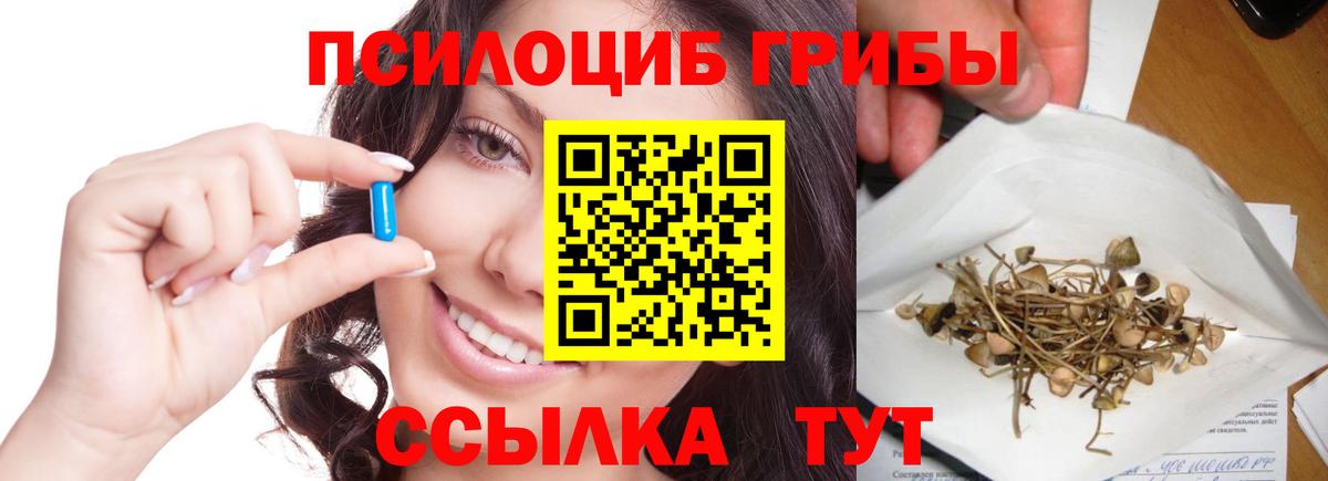 Псилоцибиновые грибы Psilocybe Коркино